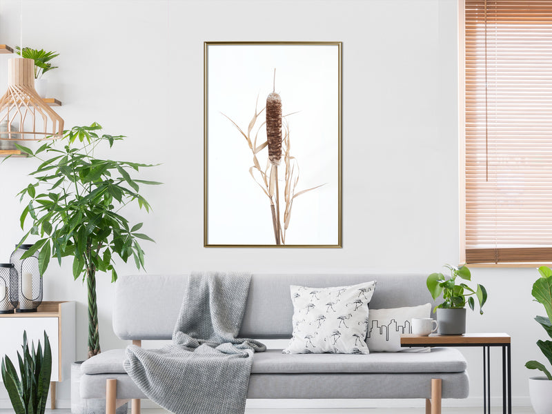 Poster - Typha  - goud