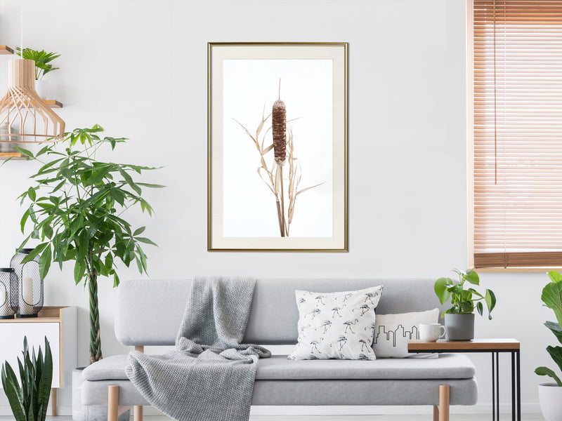 Poster - Typha  - goud passepartout