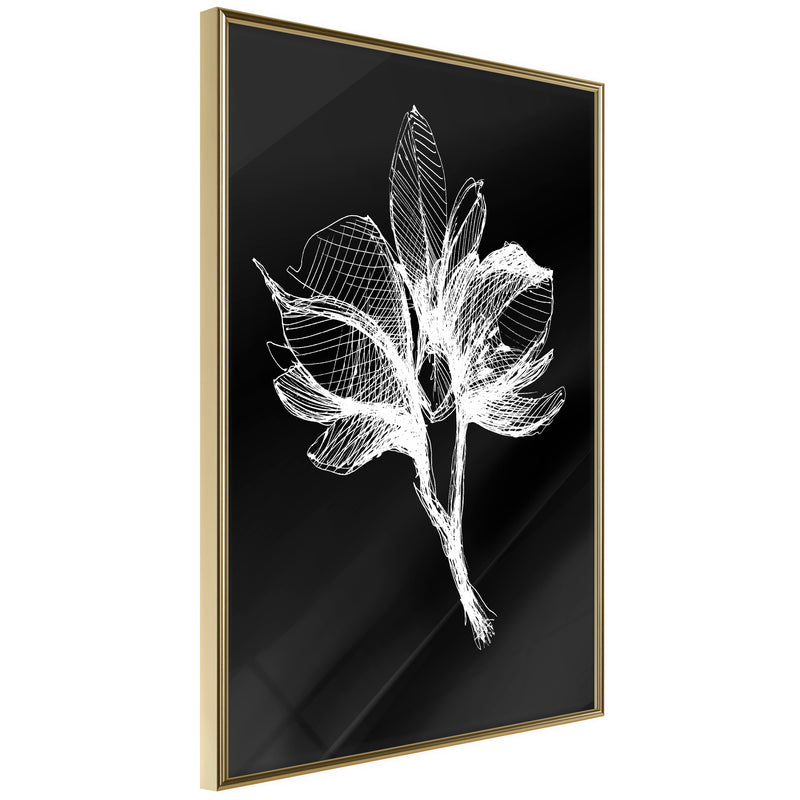 Poster - White Plant  - goud