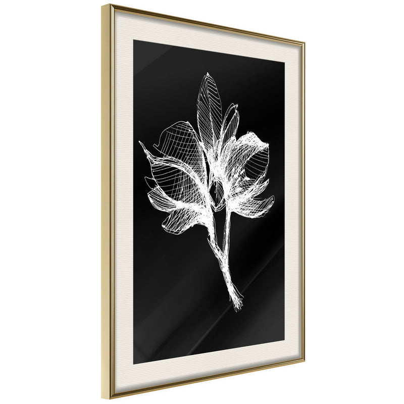 Poster - White Plant  - goud passepartout