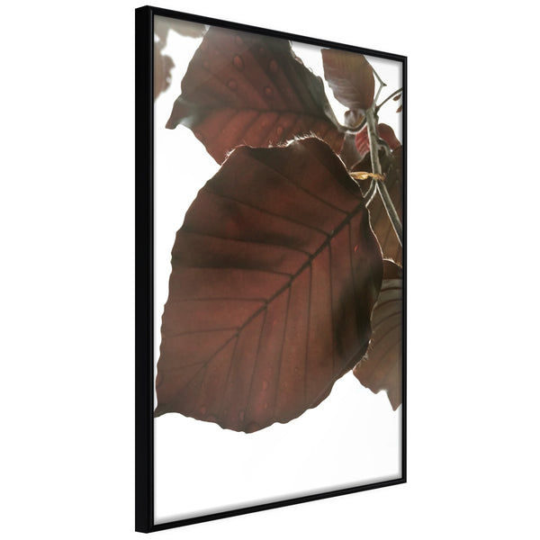 Poster - Burgundy Tilia Leaf  - zwart