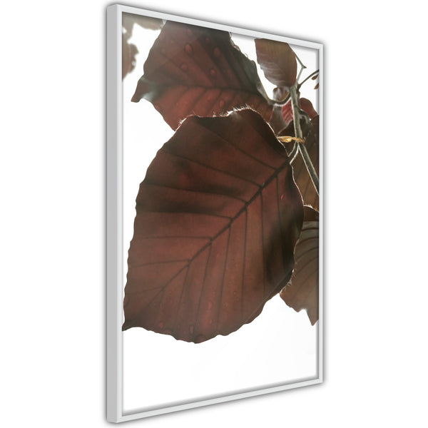 Poster - Burgundy Tilia Leaf  - wit