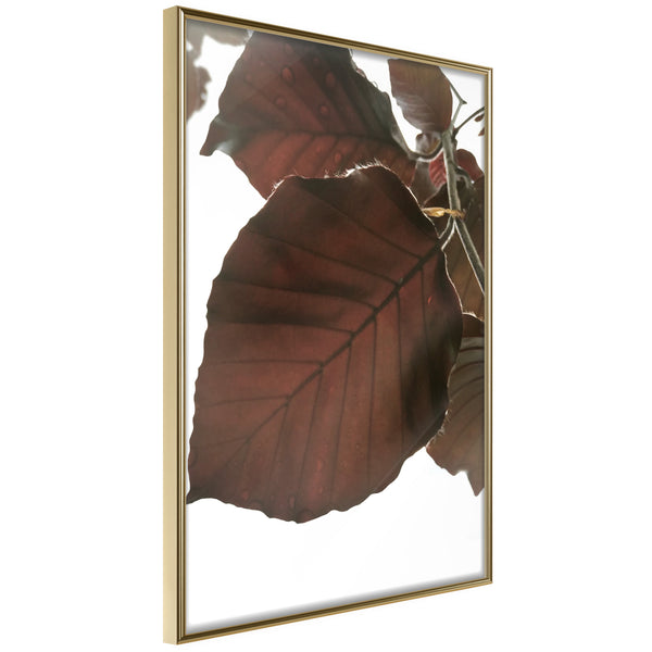 Poster - Burgundy Tilia Leaf  - goud