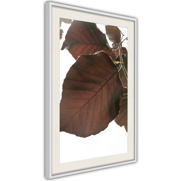 Poster - Burgundy Tilia Leaf  - wit passepartout