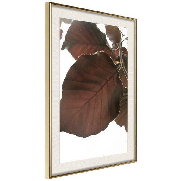 Poster - Burgundy Tilia Leaf  - goud passepartout
