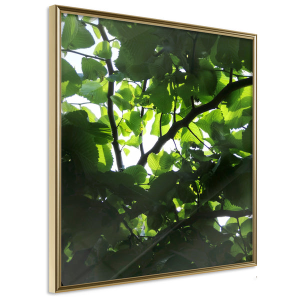 Poster - Under Cover of Leaves  - goud