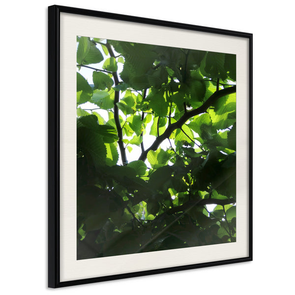 Poster - Under Cover of Leaves  - zwart passepartout