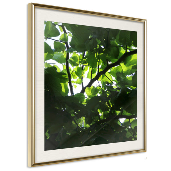 Poster - Under Cover of Leaves  - goud passepartout