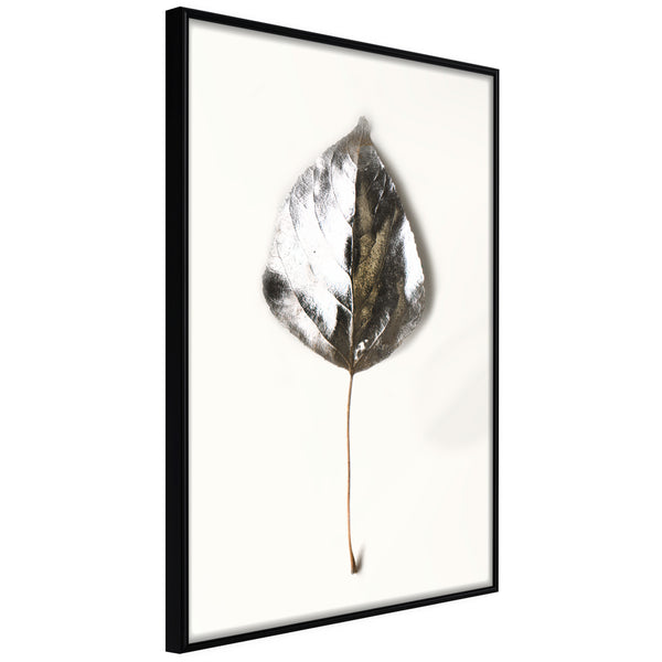 Poster - Silvery Leaf  - zwart