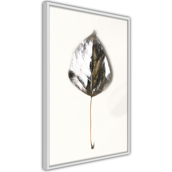 Poster - Silvery Leaf  - wit