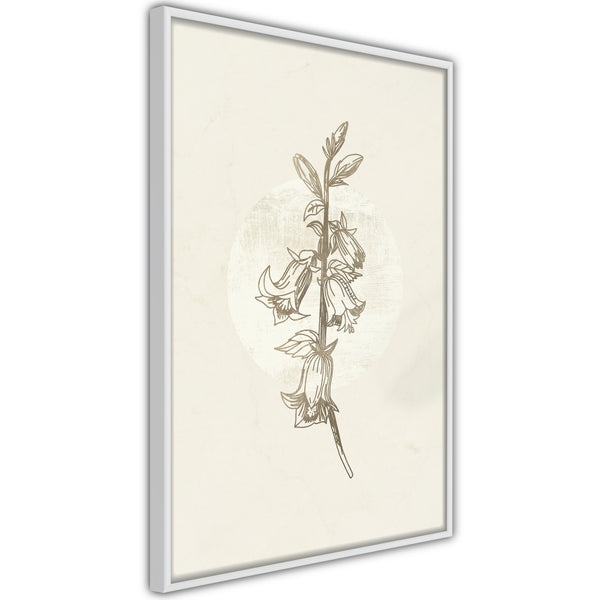 Poster - Beige Campanula  - wit