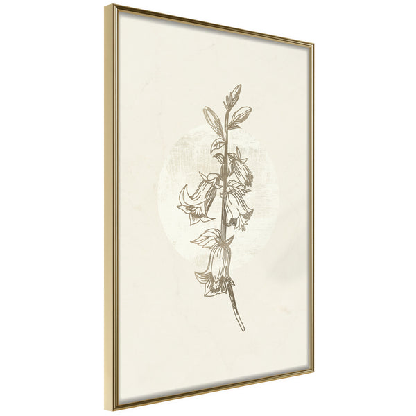 Poster - Beige Campanula  - goud