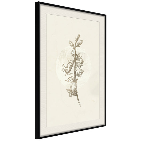 Poster - Beige Campanula  - zwart passepartout