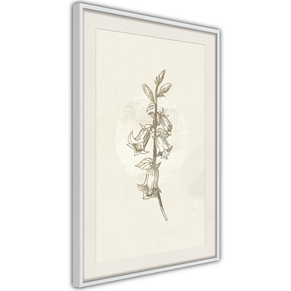 Poster - Beige Campanula  - wit passepartout