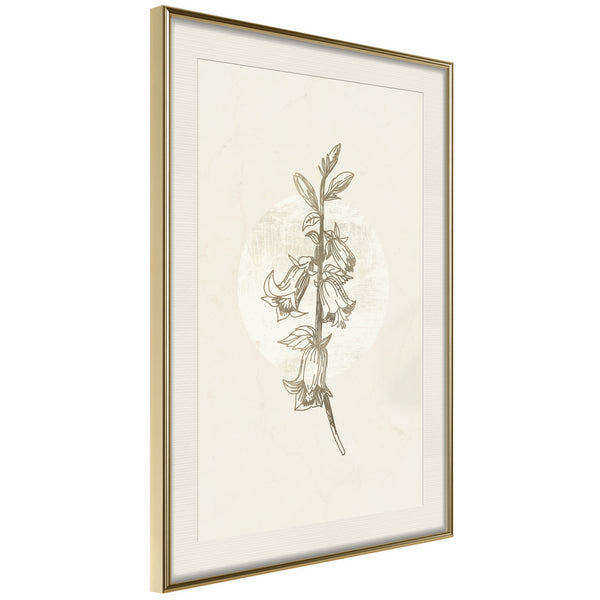 Poster - Beige Campanula  - goud passepartout