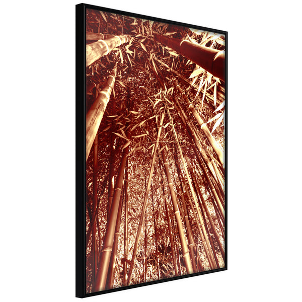 Poster - Asian Forest  - zwart