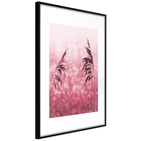 Poster - Amaranth Meadow  - zwart