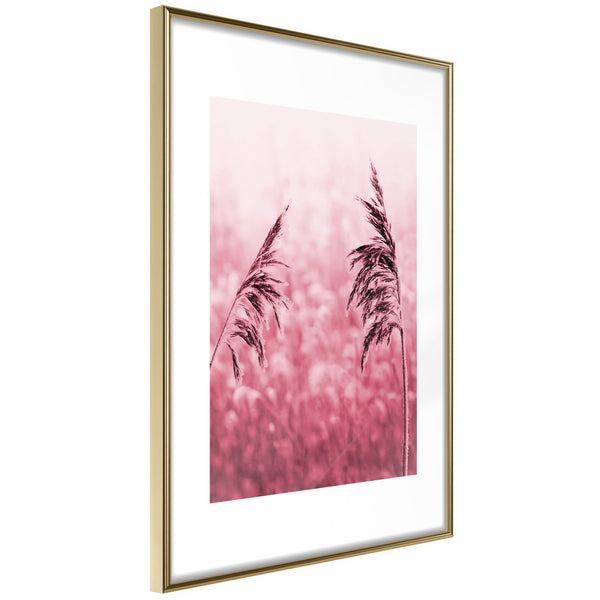 Poster - Amaranth Meadow  - goud