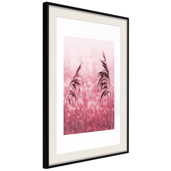 Poster - Amaranth Meadow  - zwart passepartout