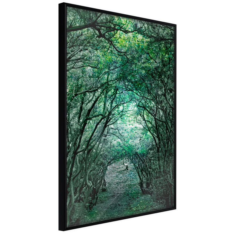 Poster - Tree Tunnel  - zwart