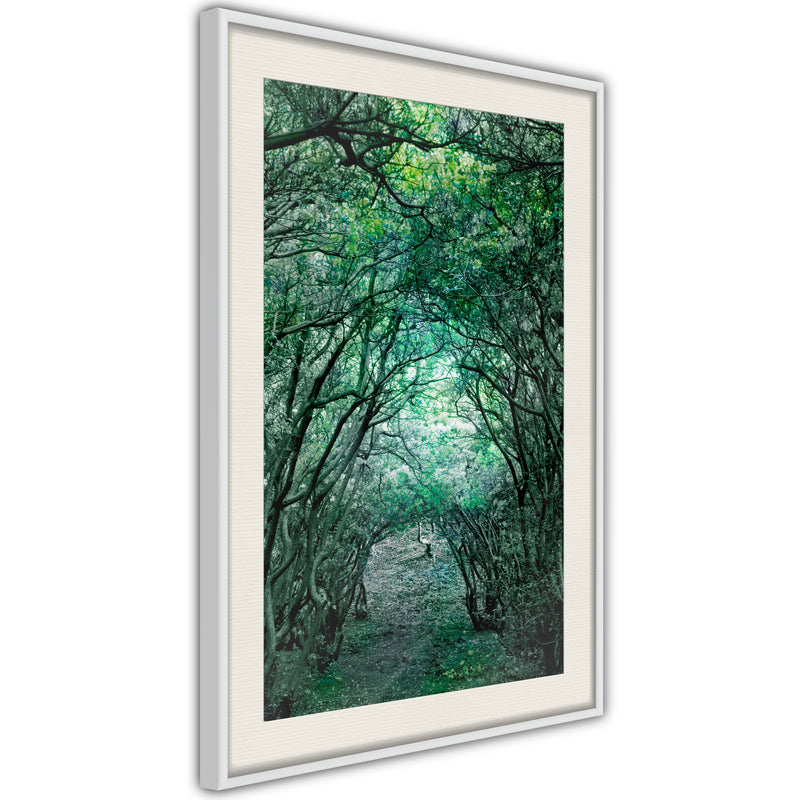 Poster - Tree Tunnel  - wit passepartout