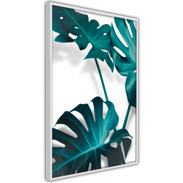 Poster - Turquoise Monstera II  - wit