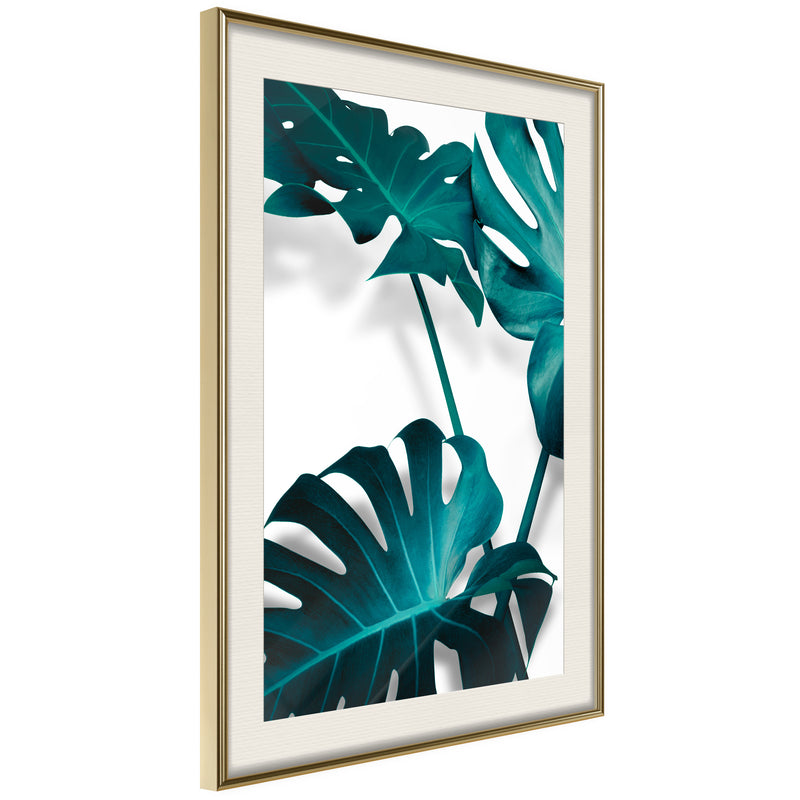 Poster - Turquoise Monstera II  - goud passepartout