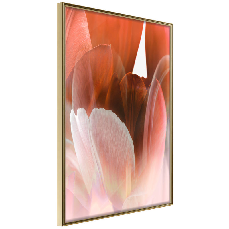 Poster - Tulip Petals  - goud