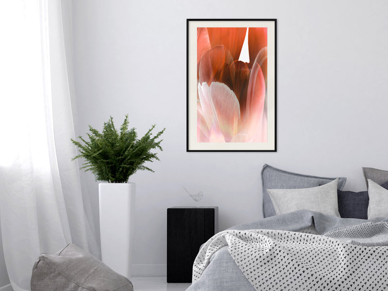 Poster - Tulip Petals  - zwart passepartout