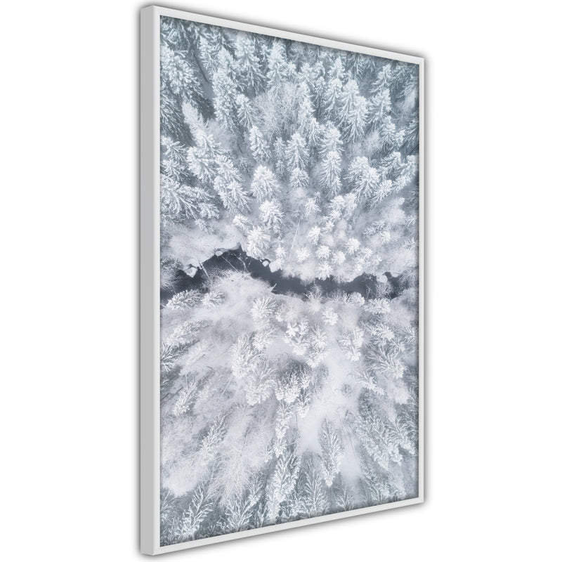 Poster - Winter Forest From a Bird's Eye View  - wit