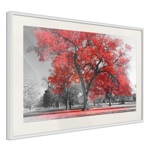 Poster - Red Tree  - wit passepartout