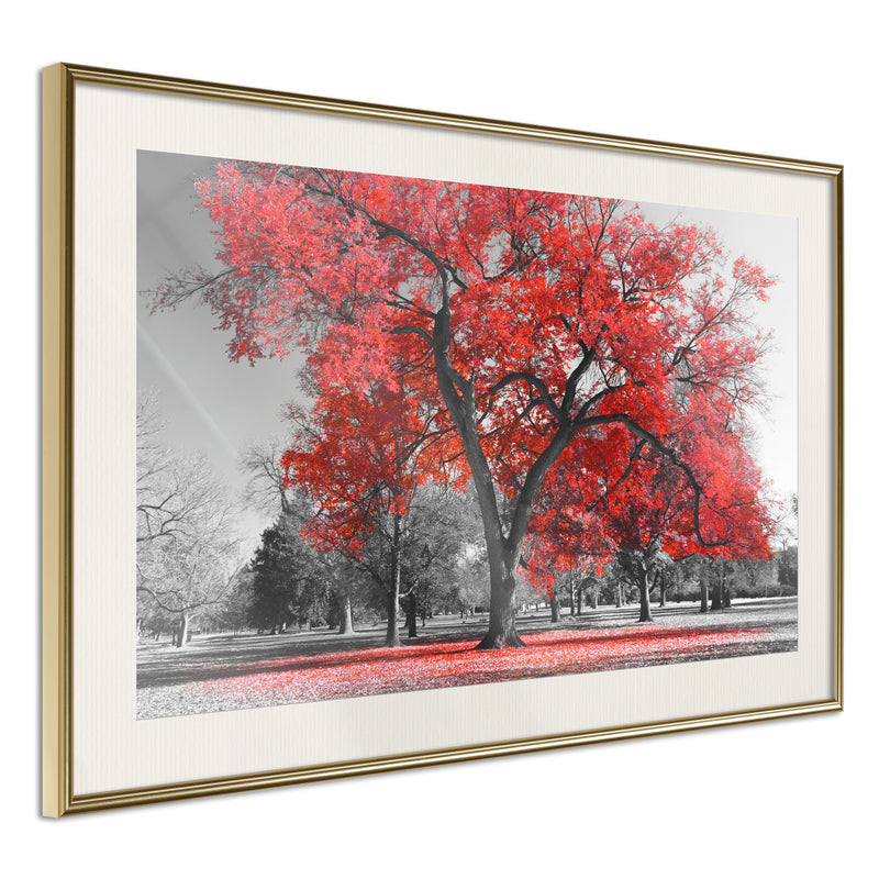 Poster - Red Tree  - goud passepartout