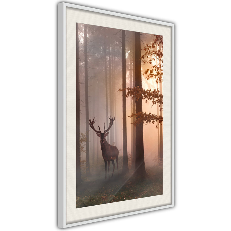 Poster - Forest Seclusion  - wit passepartout