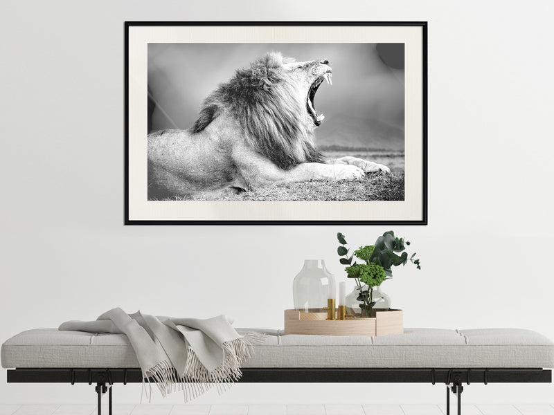 Poster - Yawning Lion  - zwart passepartout