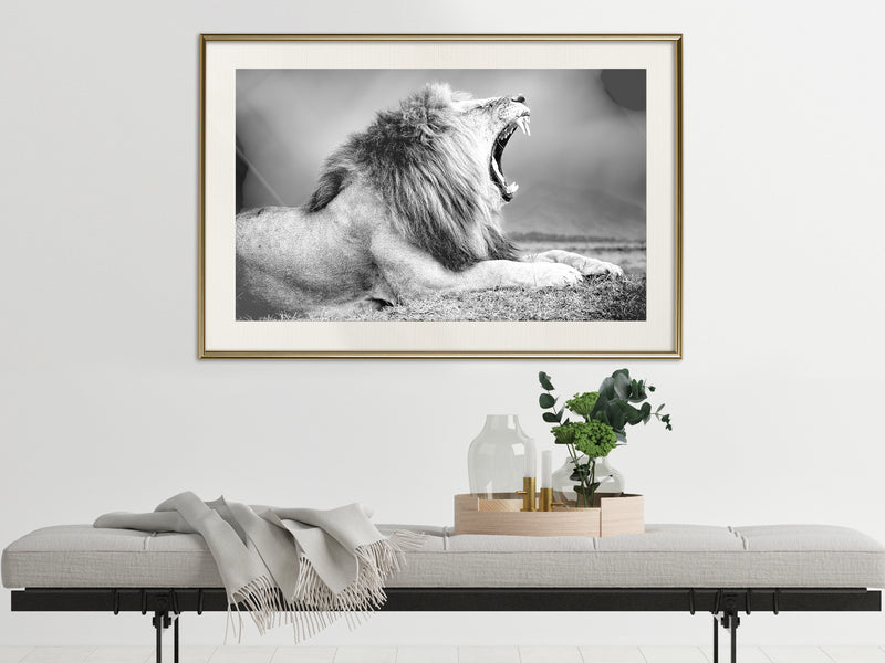 Poster - Yawning Lion  - goud passepartout