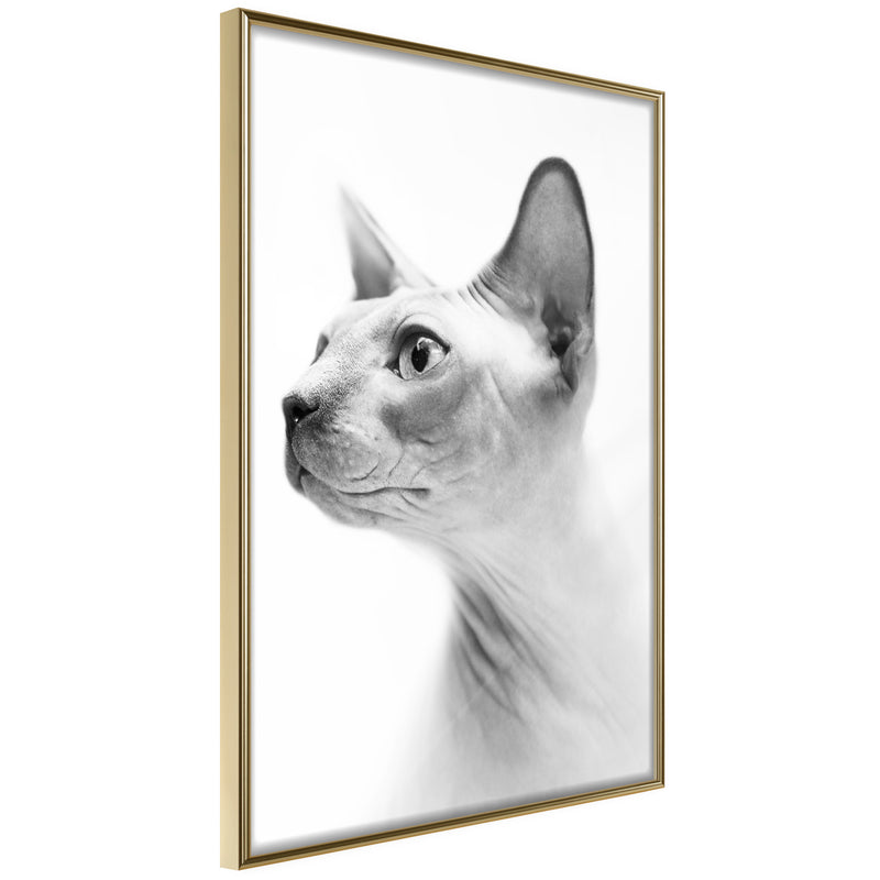 Poster - Sphinx  - goud