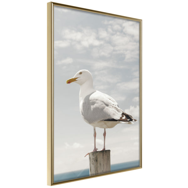 Poster - Curious Seagull  - goud