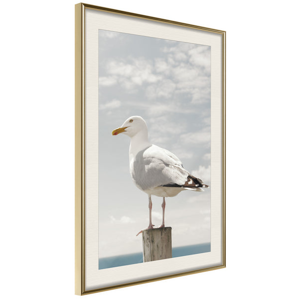 Poster - Curious Seagull  - goud passepartout