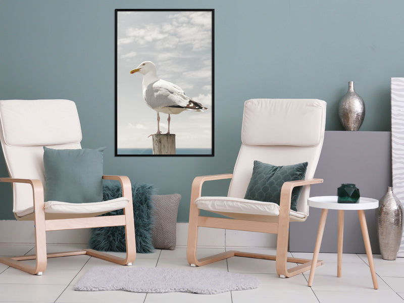 Poster - Curious Seagull  - zwart