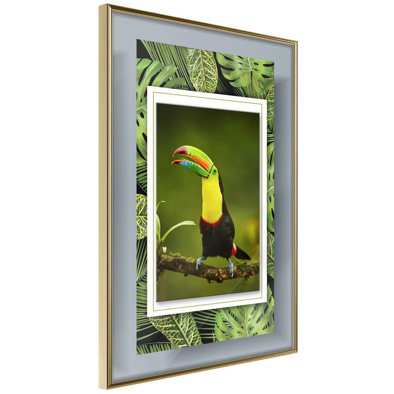 Poster - Toucan in the Frame  - goud