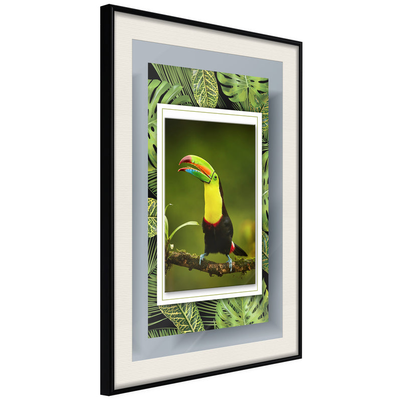 Poster - Toucan in the Frame  - zwart passepartout