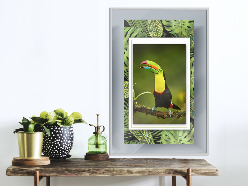 Poster - Toucan in the Frame  - wit