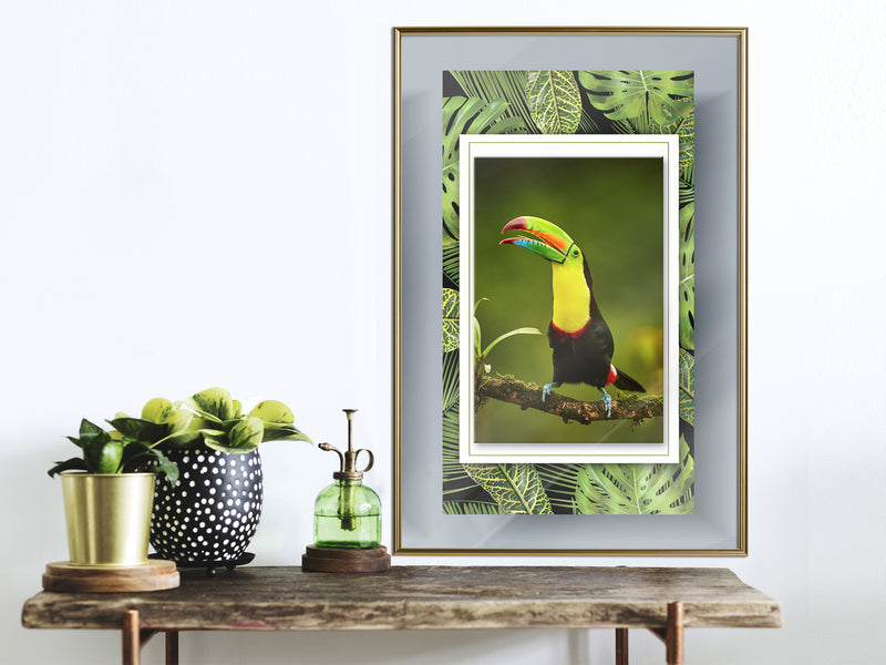 Poster - Toucan in the Frame  - goud