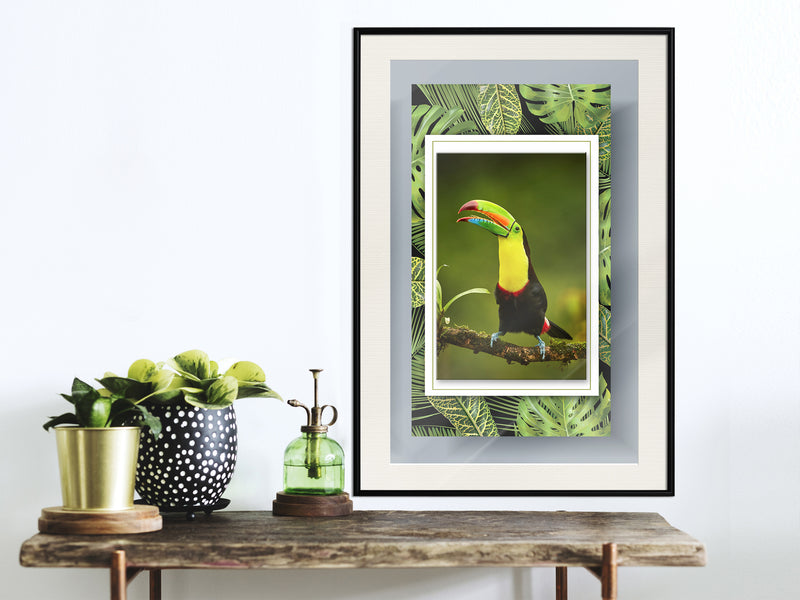 Poster - Toucan in the Frame  - zwart passepartout