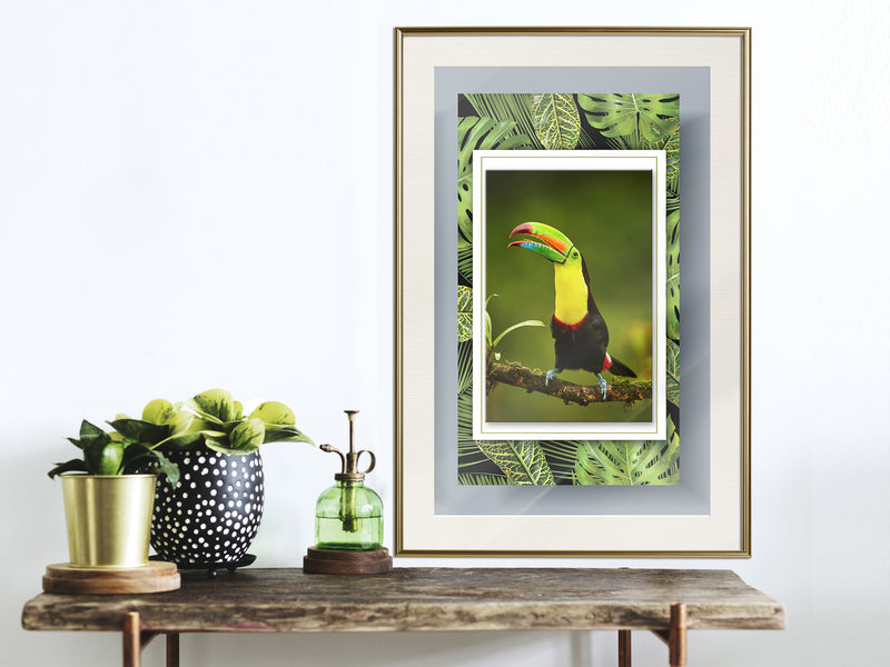 Poster - Toucan in the Frame  - goud passepartout