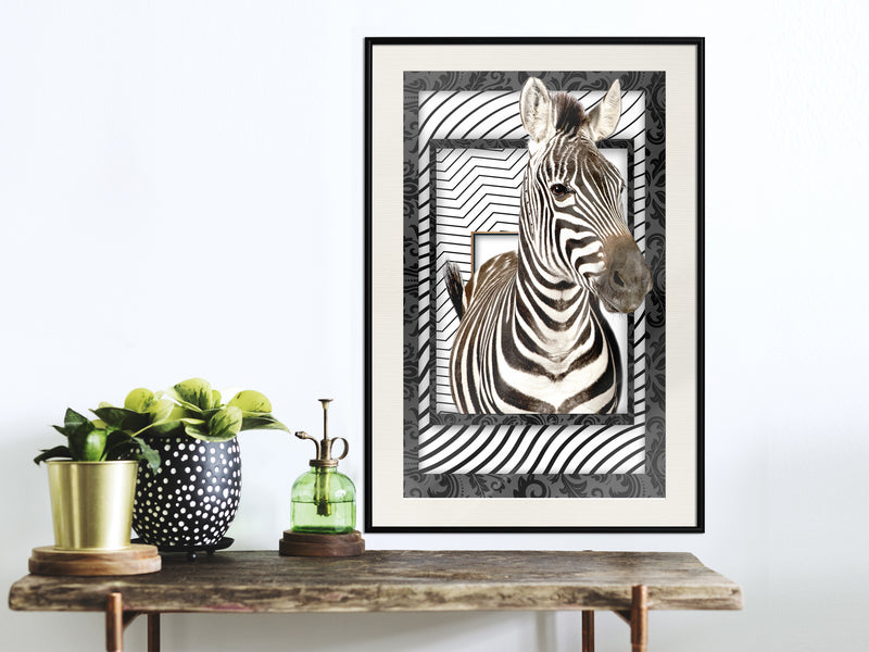 Poster - Zebra in the Frame  - zwart passepartout