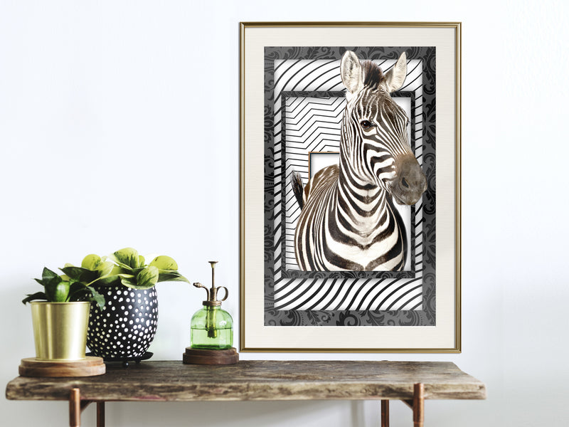 Poster - Zebra in the Frame  - goud passepartout