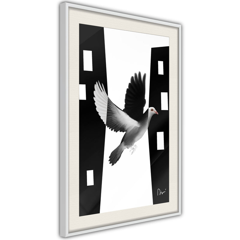 Poster - Caught in Flight  - wit passepartout