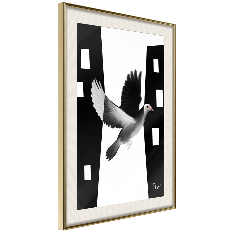 Poster - Caught in Flight  - goud passepartout