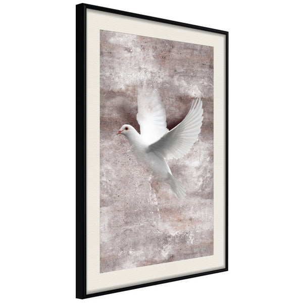 Poster - White Dreams  - zwart passepartout